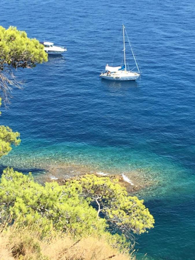 Studio Pirate Vue Mer - Soleil Levant La Ciotat Lejlighed Eksteriør billede